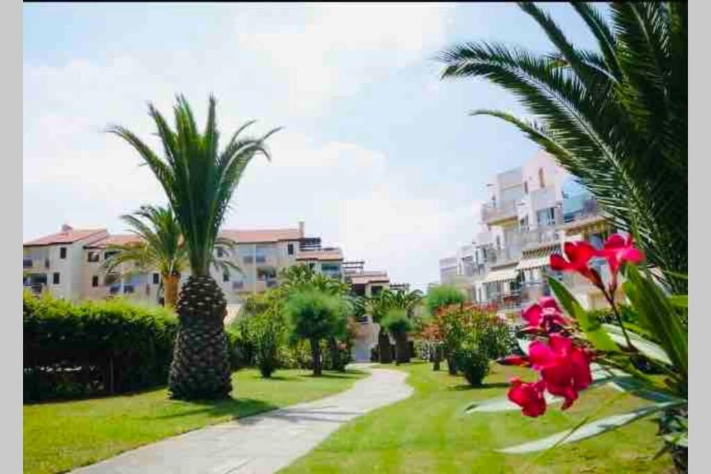 Les Capitelles Bord De Plage Avec Grande Piscine - Vue Montagne Saint-Cyprien  Ngoại thất bức ảnh